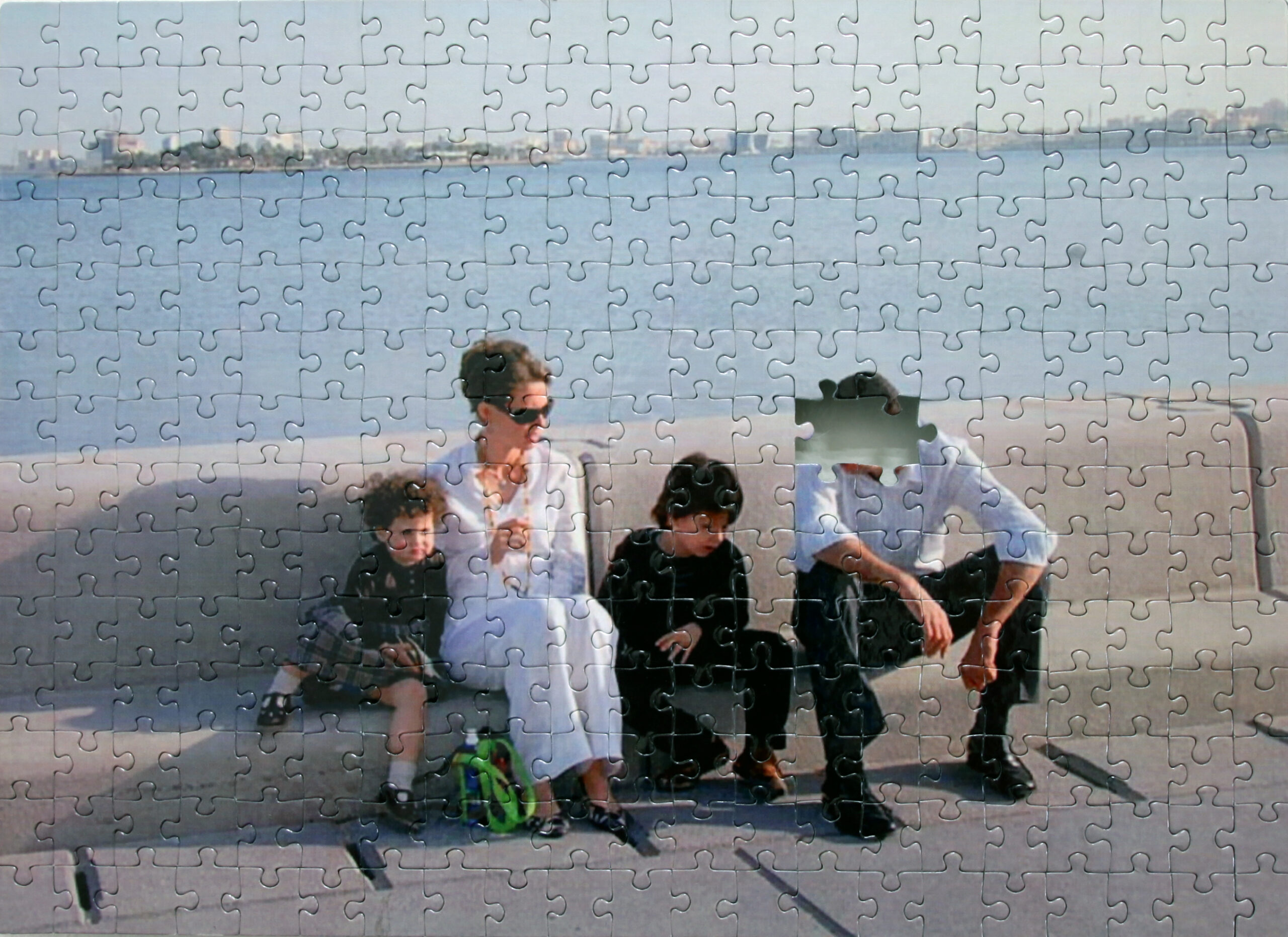 puzzle-contre-colle-sur-didond-26x36cm-g-chamahian-2014